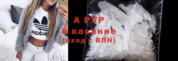 сатива Мегион