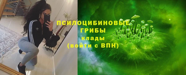 прущие крисы Медвежьегорск