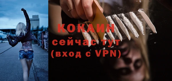 прущие крисы Медвежьегорск