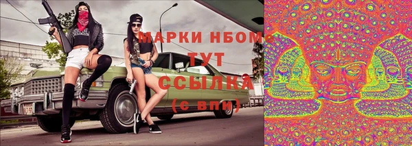сатива Мегион