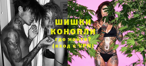 прущие крисы Медвежьегорск