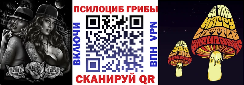 Галлюциногенные грибы Psilocybe  дарнет шоп  Благовещенск 